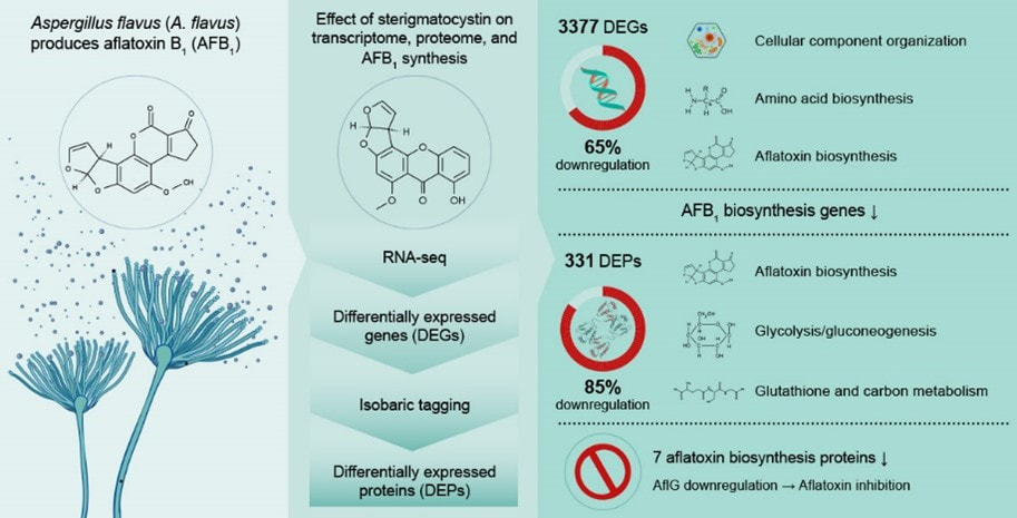 Chemistry_07