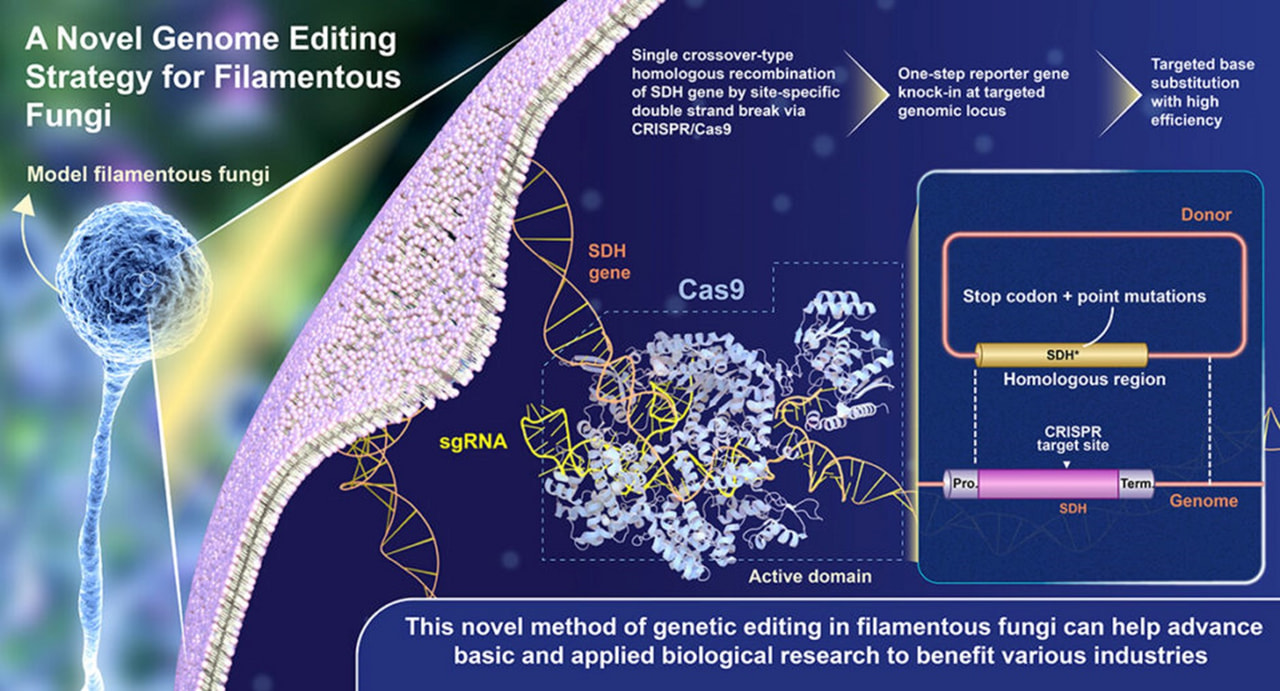 LifeScience_06