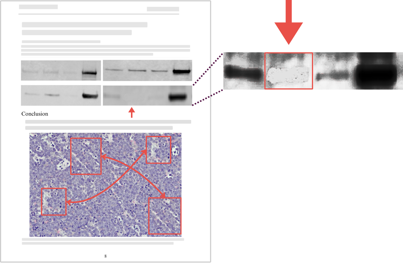 画像改ざん検出