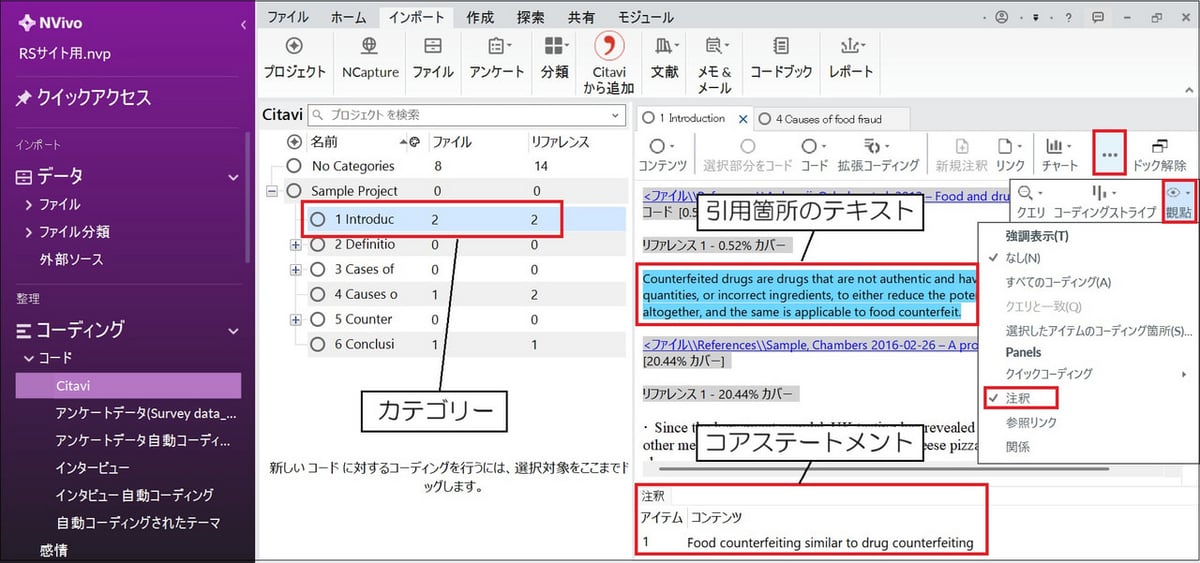 NVivo の画面