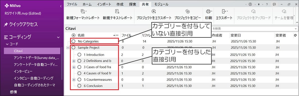 NVivo の画面