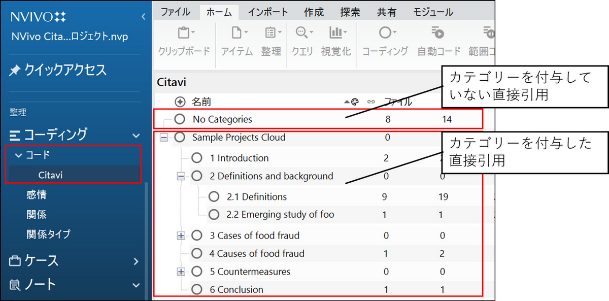 NVivo の画面