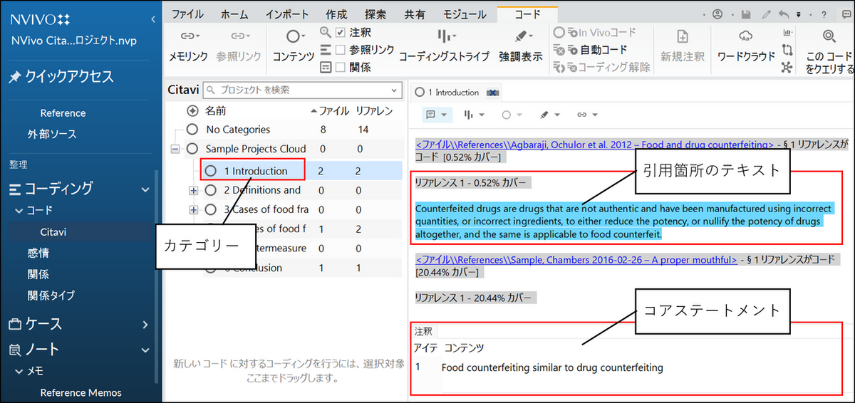 NVivo の画面